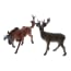 Jonotoys Speelset Biological Series Bizonhert 2 Delig jonotoys kopen in de aanbieding Jonotoys Speelset Biological Series Bizonhert 2 Delig jonotoys kopen in de aanbieding