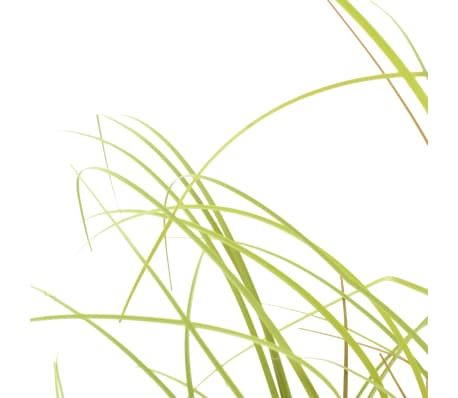 vidaXL Konstväxt gräs 80 cm