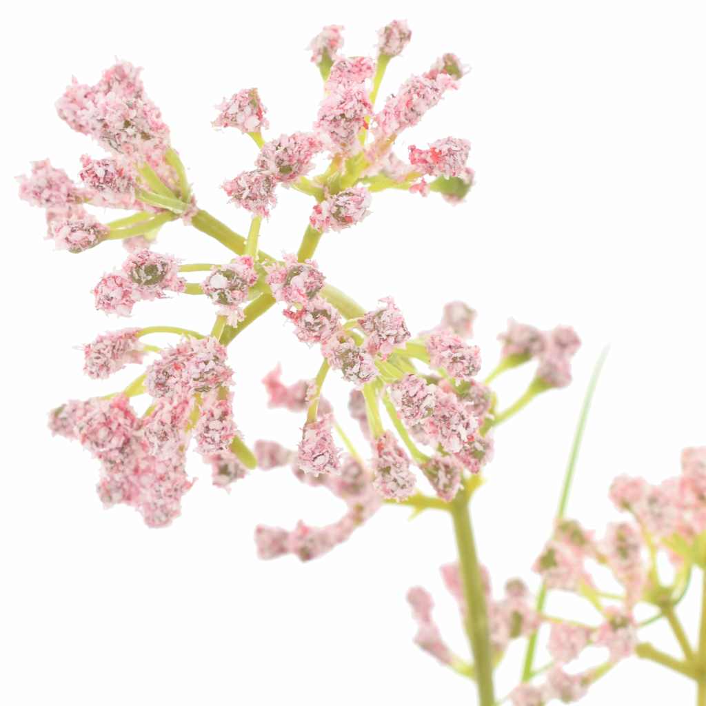 Mākslīgie ziedi 95 cm Plastmasa