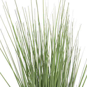 vidaXL Dirbtinis augalas - žolė, 60 cm