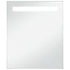 vidaXL vannitoa LED-seinapeegel 50 x 60 cm