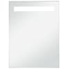 vidaXL vannitoa LED-seinapeegel 60 x 80 cm