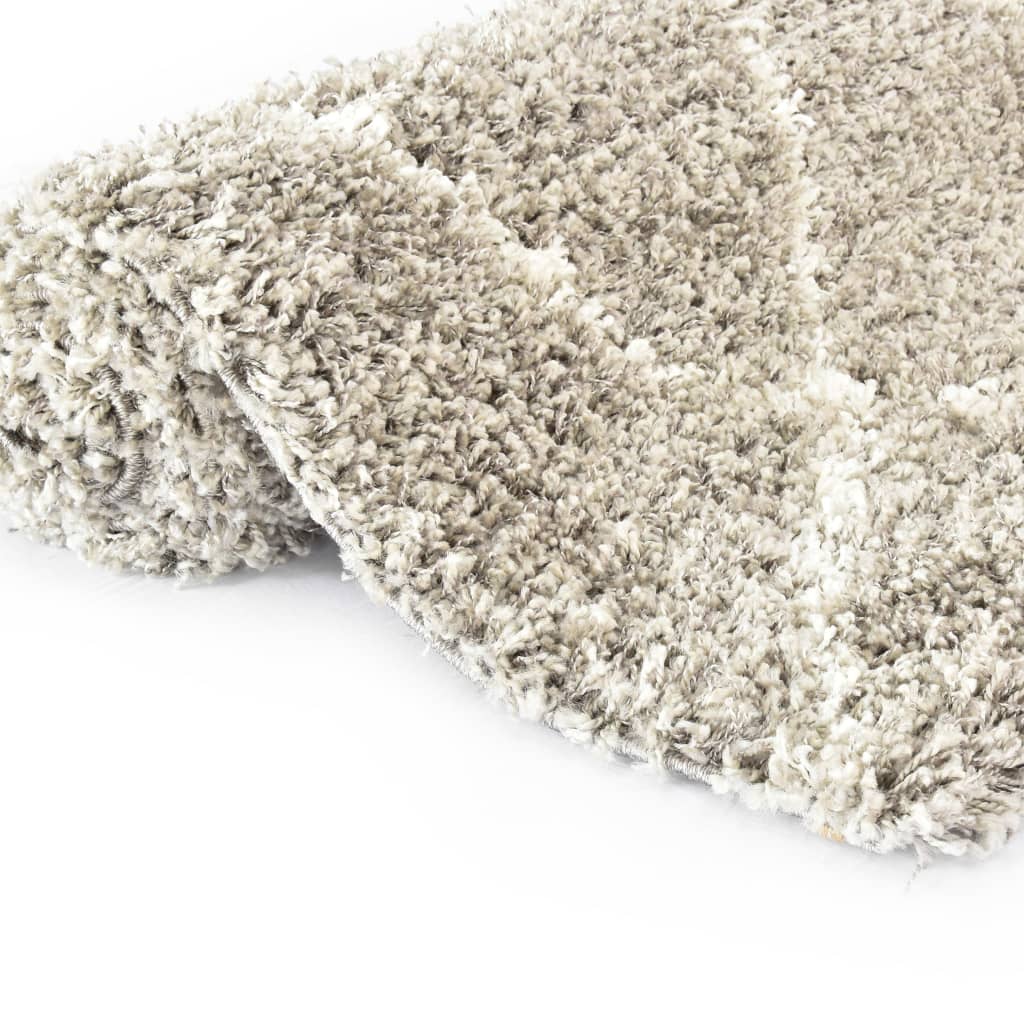 vidaXL Rug Berber Shaggy PP Sand and Beige 80x150 cm