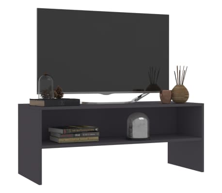 vidaXL Televizoriaus spintelė, pilka, 100x40x40cm, med. drož. plok.