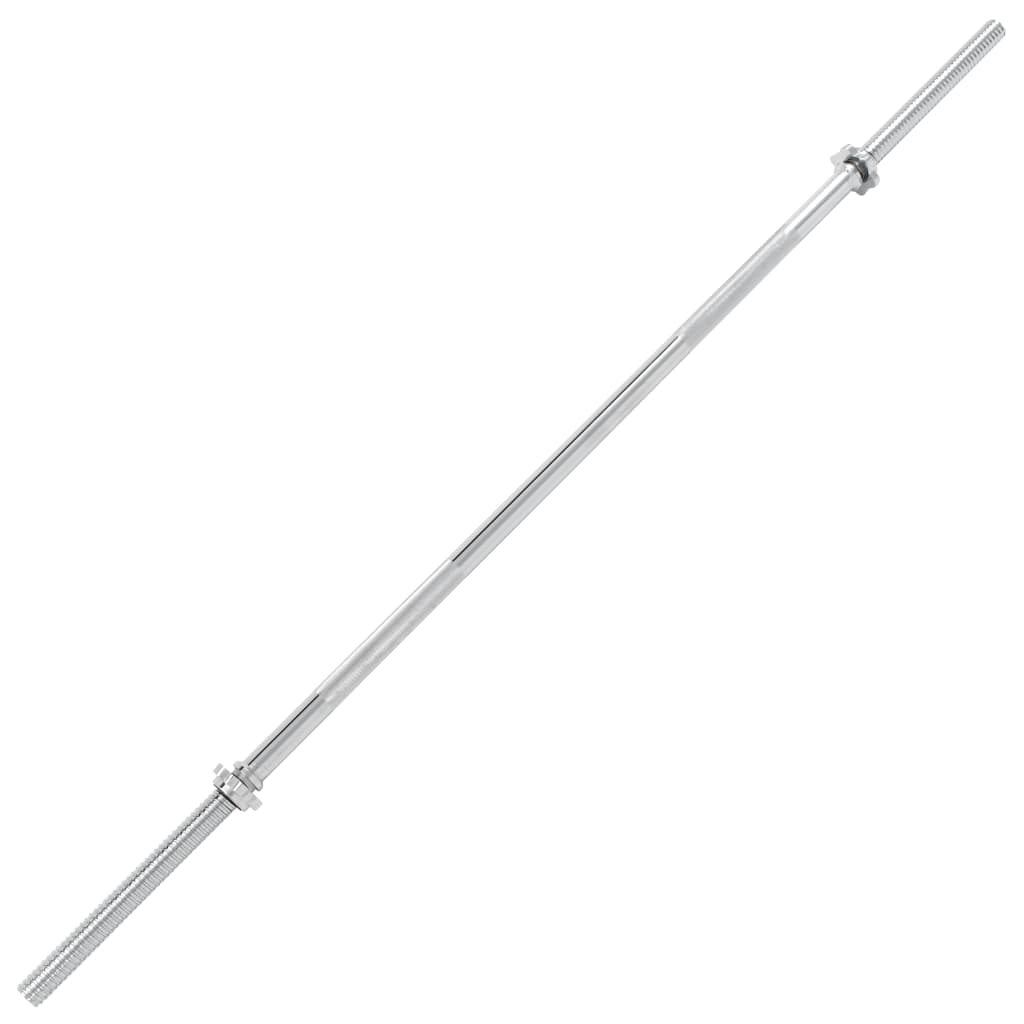 vidaXL Činková tyč 2,5 x 160 cm ocel stříbrná