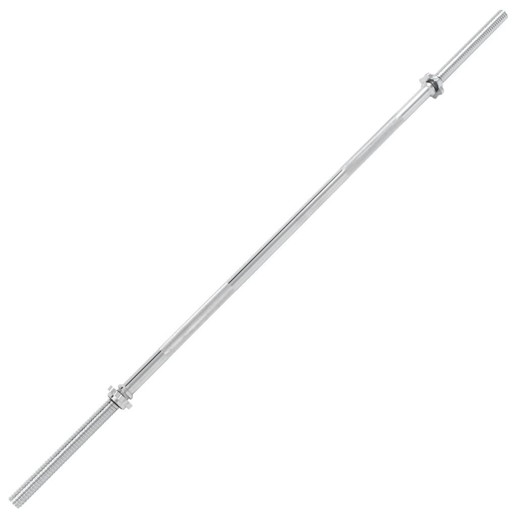 

vidaXL Halterstang 2,5x160 cm staal zilverkleurig