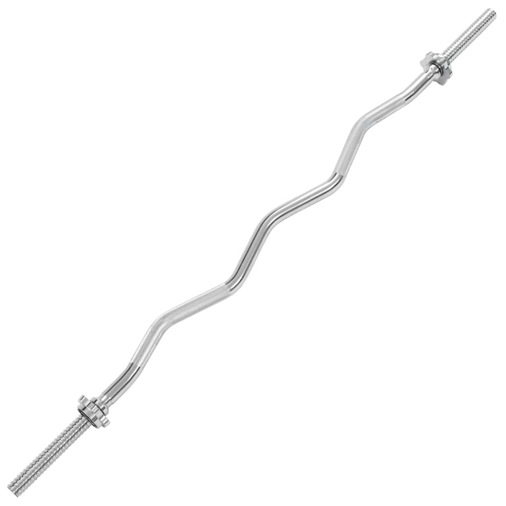 vidaXL Curl Barbell Bar 2.5x120 cm Steel Silver