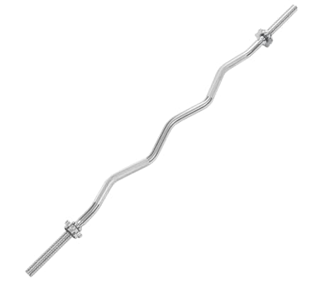 vidaXL Curl Barbell Bar 2.5x120 cm Steel Silver