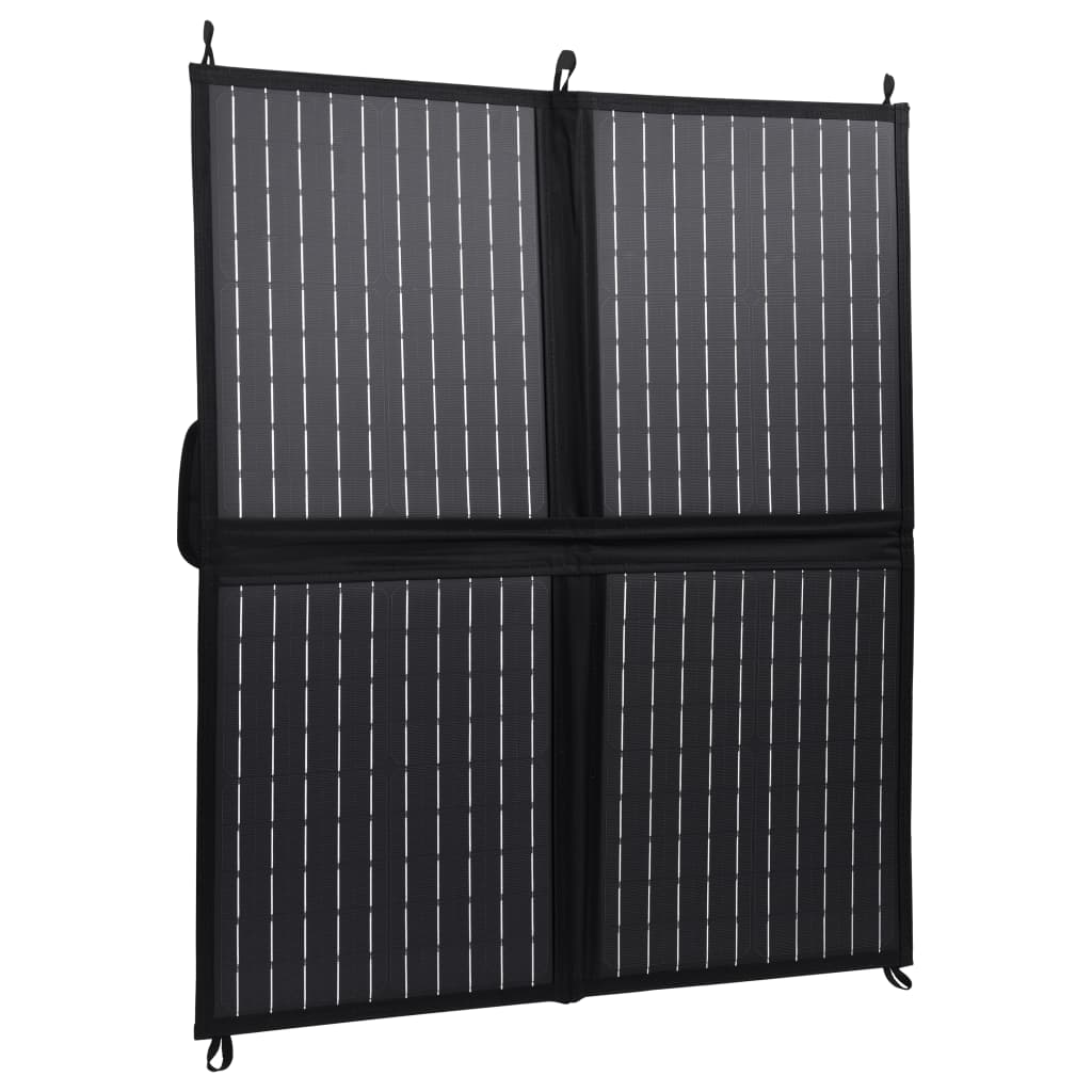 vidaXL Încărcător panou solar pliabil 80 W 12 V