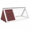 Brown_and_white