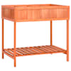 vidaXL maitsetaimede kast, 80 x 60 x 80 cm, nulupuit