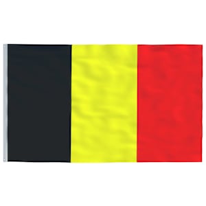 vidaXL Belgia lipp 90 x 150 cm