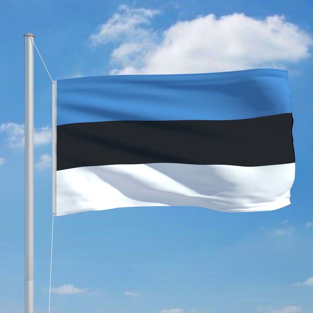 vidaXL Bandera de Estonia 90x150 cm