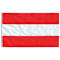 vidaXL Bandeira da Áustria 90x150 cm
