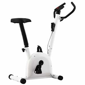 vidaXL veloergomeeter rihmaga, vastupanu, punane