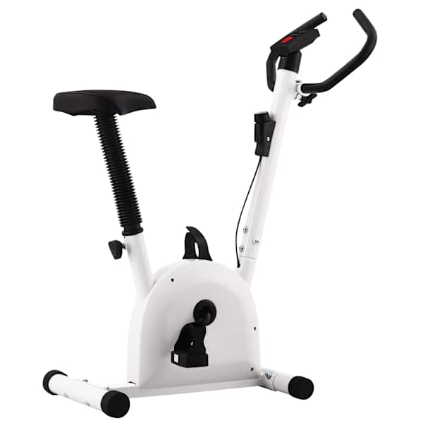 vidaXL veloergomeeter rihmaga, vastupanu, punane
