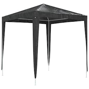 vidaXL professionaalne peotelk, 2 x 2 m, antratsiithall