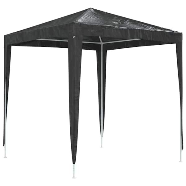 vidaXL professionaalne peotelk, 2 x 2 m, antratsiithall
