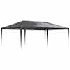 vidaXL professionaalne peotelk, 4 x 6 m, antratsiithall, 90 g/m&sup2;