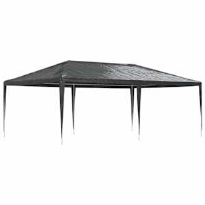 vidaXL professionaalne peotelk, 4 x 6 m, antratsiithall, 90 g/m&sup2;