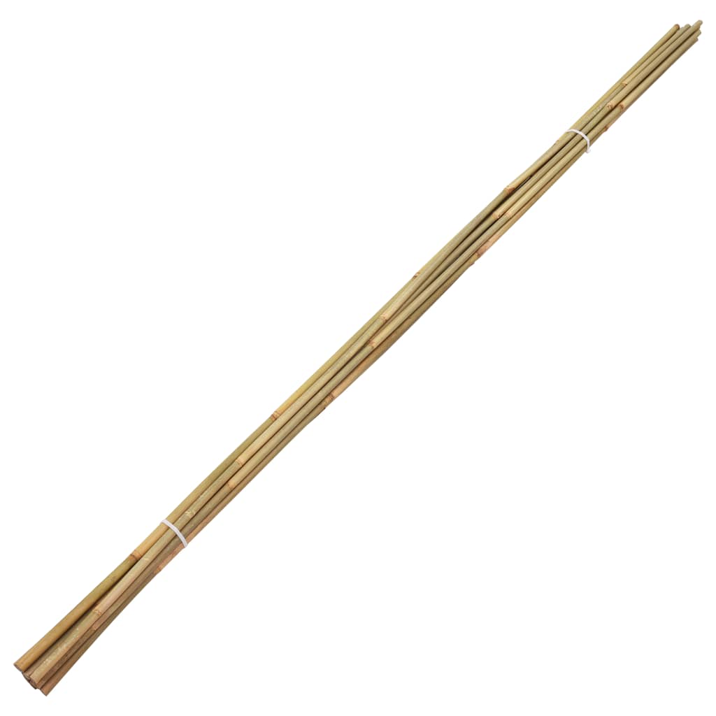 50 db kerti bambuszkaró 120 cm 