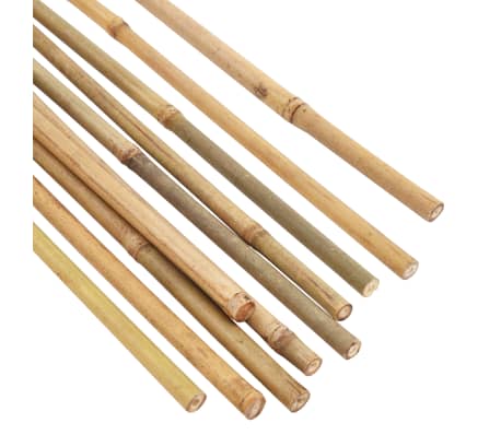 vidaXL Estacas de bambú para jardín 50 piezas 170 cm