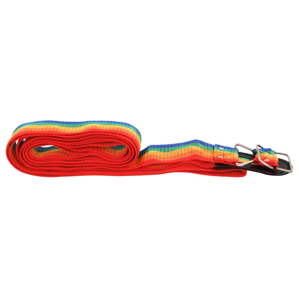 

vidaXL Bagageriem 4,2 m