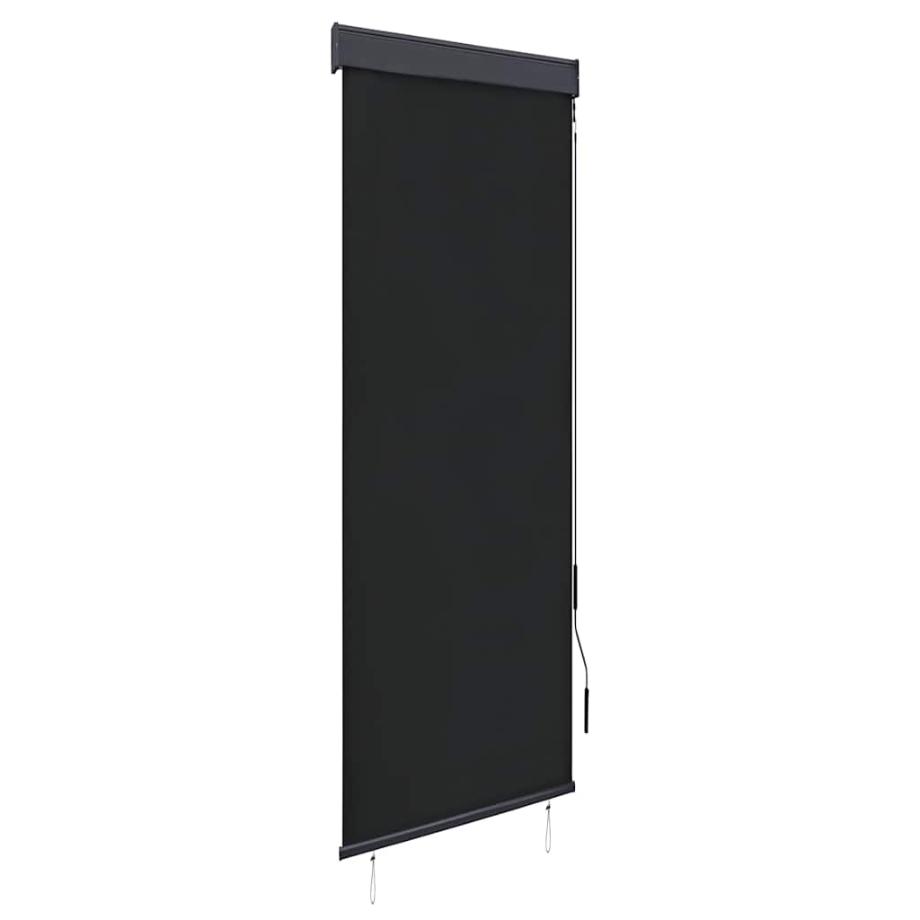vidaXL Jaluzea tip rulou de exterior, antracit, 60 x 250 cm