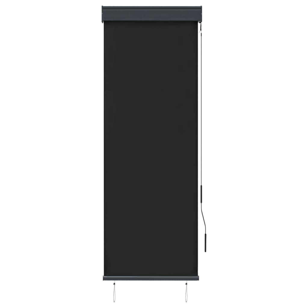 vidaXL Rullgardin utomhus 60x250 cm antracit