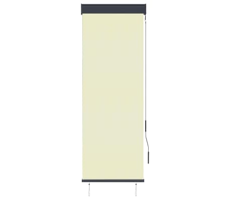 vidaXL Outdoor Roller Blind 60x250 cm Cream