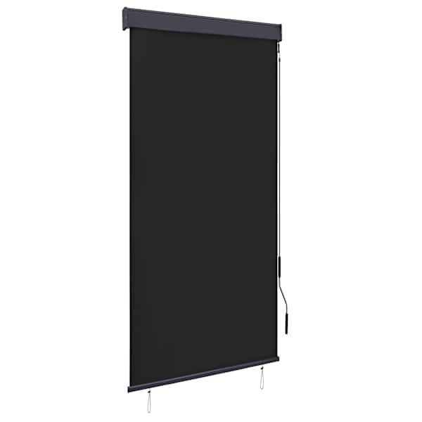 vidaXL v&auml;liruloo 100 x 250 cm, antratsiithall