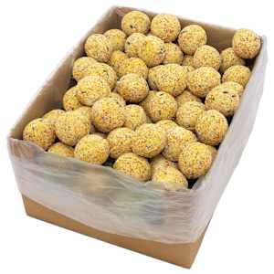 vidaXL linnu rasvapallid, 200 tk, 90 g