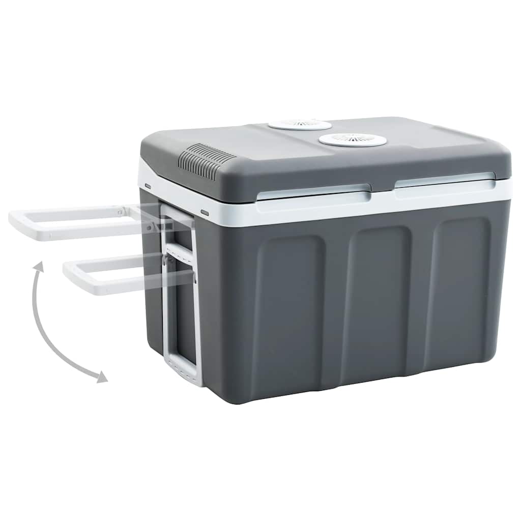 Thumbnail - vidaXL Thermoelektrische Kühlbox Mobil 40 L 12V 230V E
