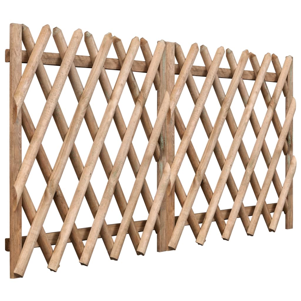 

vidaXL Poorten 2 st 300x100 cm geïmpregneerd grenenhout