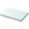 vidaXL riiulid 2 klaasist paneeli 20 x 25 cm