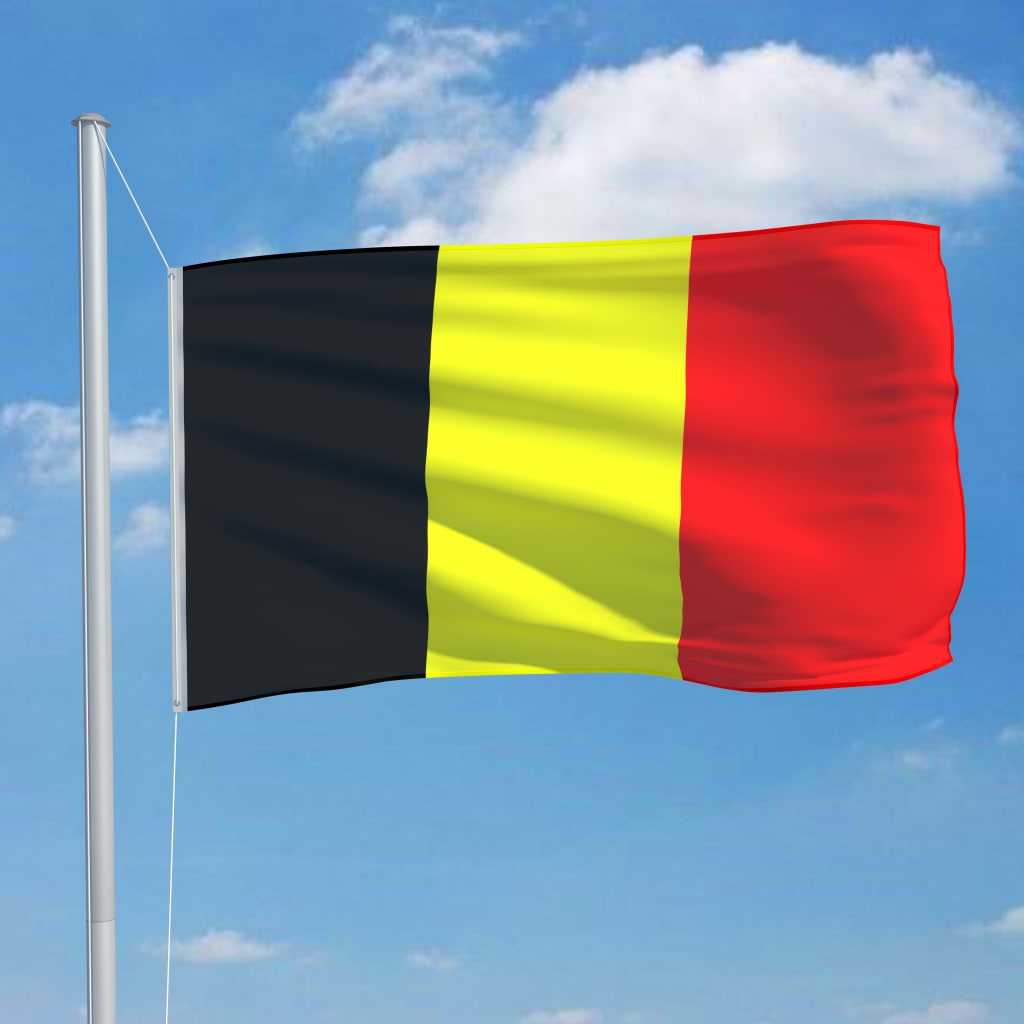 vidaXL Belgijska zastava s aluminijskim stupom 6,2 m