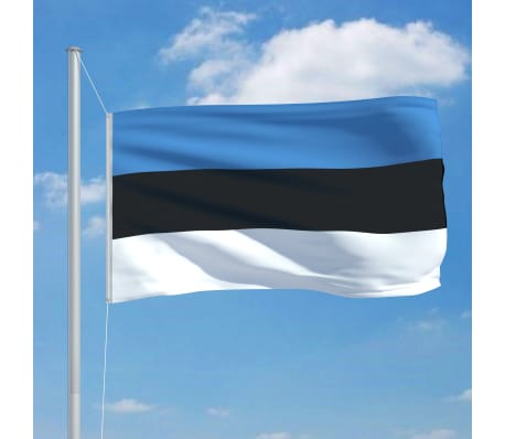 vidaXL Estonia Flag and Pole Aluminium 6.2 m