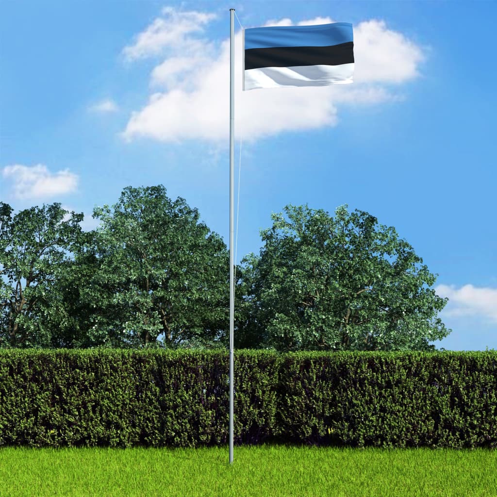 vidaXL Steag Estonia și stâlp din aluminiu, 6,2 m imagine vidaxl.ro