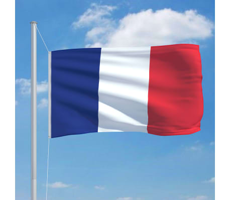 vidaXL Francoska zastava in aluminijast zastavni drog 6,2 m