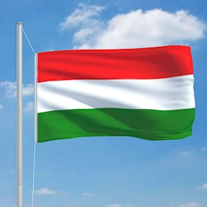 vidaXL Hungary Flag and Pole Aluminium 6.2 m