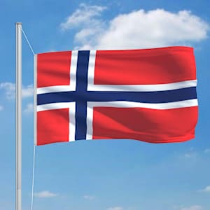 vidaXL Drapeau Norv&egrave;ge et m&acirc;t en aluminium 6,2 m