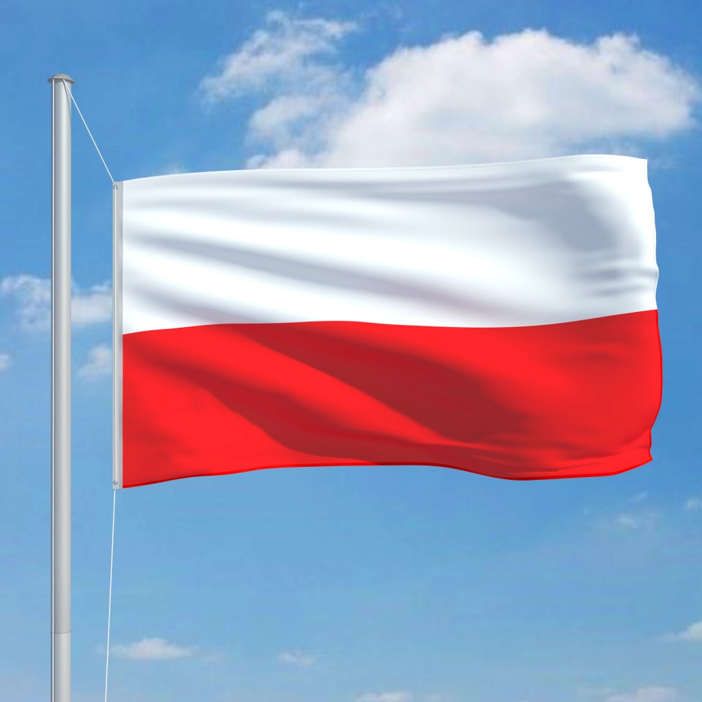 vidaXL polsk flag og flagstang 6,2 m aluminium
