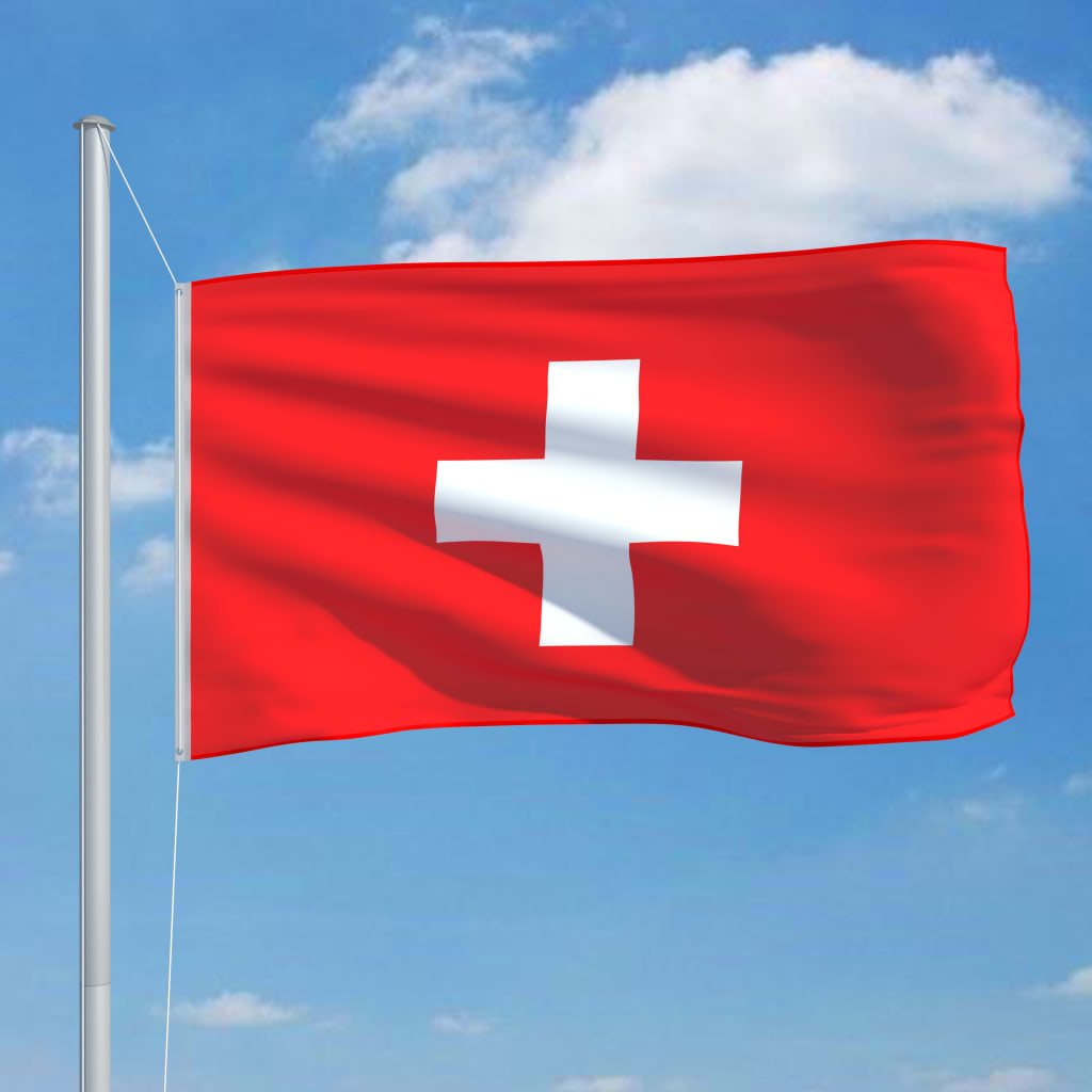 vidaXL Sveitsin lippu ja tanko alumiini 6,2 m