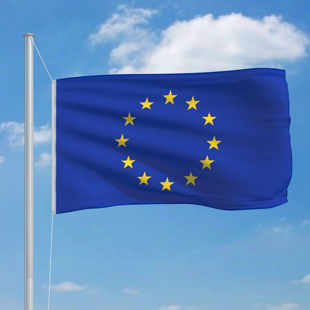 

vidaXL Vlag met vlaggenmast Europa 6,2 m aluminium