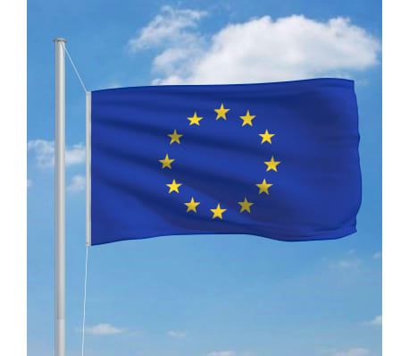 vidaXL Drapeau Union Européenne et mât en aluminium 6,2 m