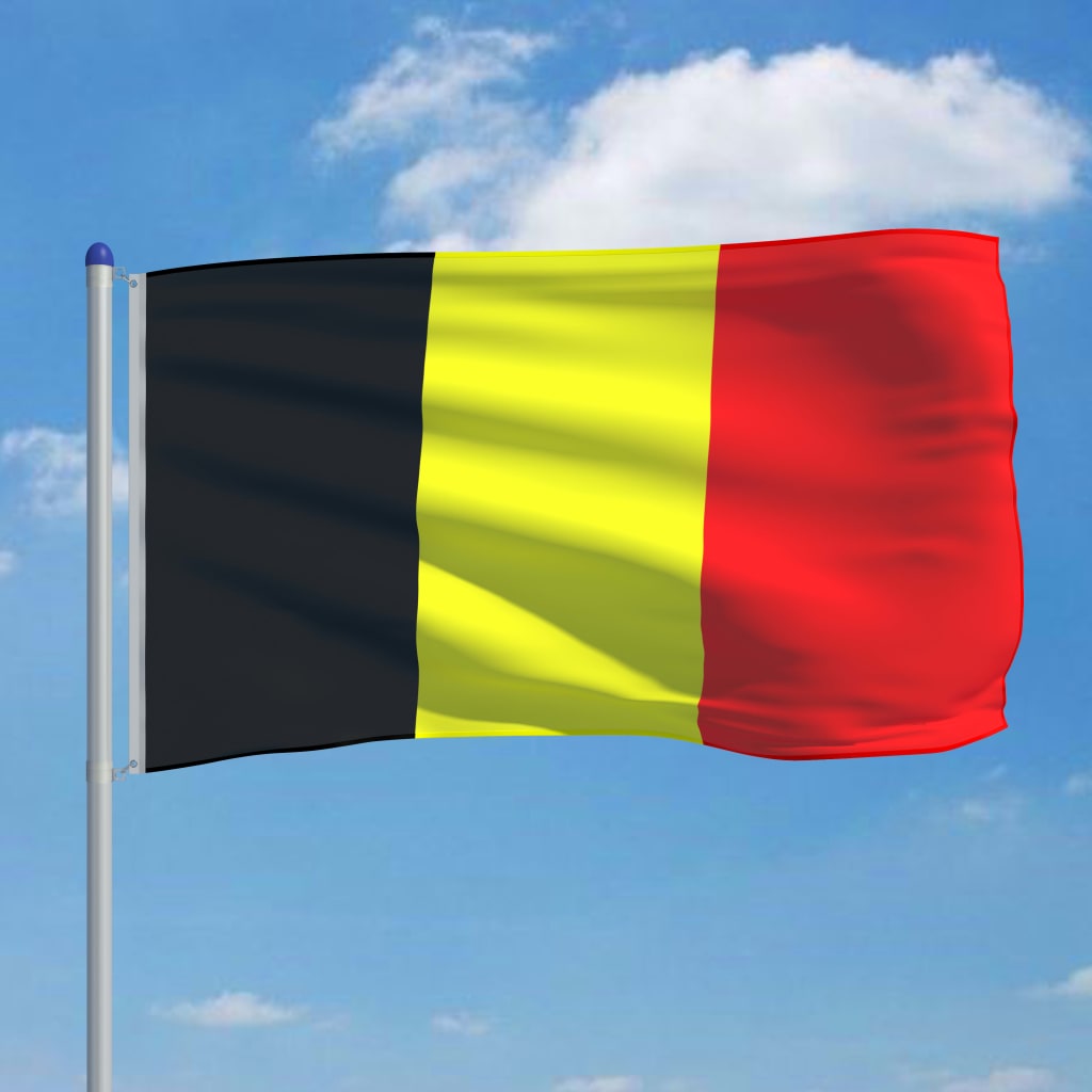 vidaXL Σημαία Βελγίου 6 μ. με Ιστό Αλουμινίου