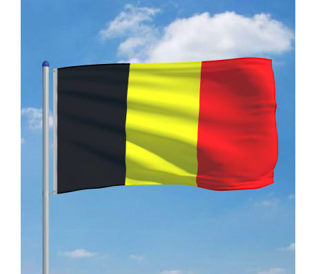 vidaXL Belgian lippu ja tanko alumiini 6 m
