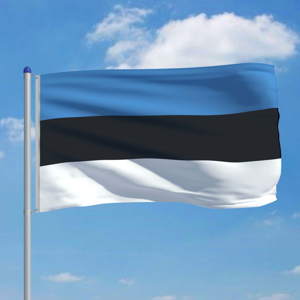 vidaXL Bandiera dell'Estonia con Pennone in Alluminio 6 m