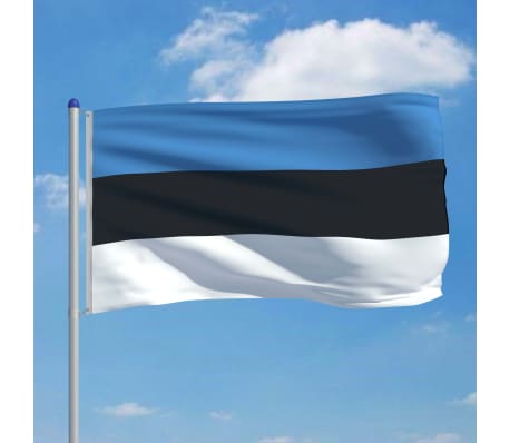vidaXL Estonska zastava s aluminijskim stupom 6 m