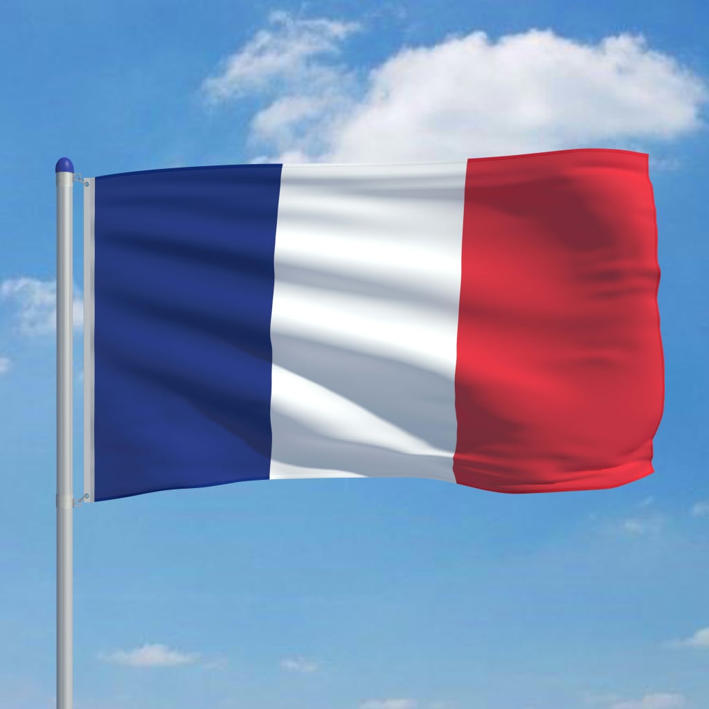 vidaXL Frankrikes flagga och flaggstång i aluminium 6 m